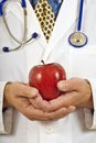 Medical Doctor Gently Holding Red Apple Vertical Shot