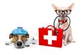 Medical doctor sick and ill dogs Royalty Free Stock Photo