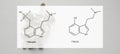 .the medical effects of psilocybin and psilocin on the psychological and physical health of people. Legalization of the