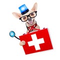 Medical emergency doctor dog