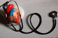 Medical equipment stethoscope and model of the heart