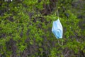 Medical face mask hanging on a tree. Ecology, environmental pollution due to the covid-19 pandemic Royalty Free Stock Photo