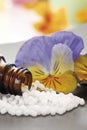 medical flask with pills in front of horned violet viola cornuta, close up. Royalty Free Stock Photo