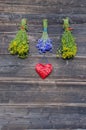 Medical flowers bunches collection on old wooden wall Royalty Free Stock Photo