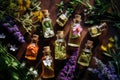 medical flowers herbs essential oils in bottles. tincture, alternative medicine natural perfumes Royalty Free Stock Photo