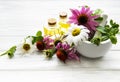 Medical flowers and plant in mortar and essential oils Royalty Free Stock Photo