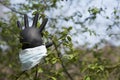 Medical glove and mask on the background of new leaves and blue sky, as a symbol of the end of the coronavirus pandemic and a Royalty Free Stock Photo