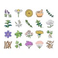 Medical Herb Natural Ingredient Icons Set Vector