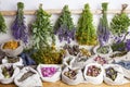 Medical herbs Royalty Free Stock Photo