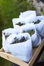 Medical herbs for herbal tea and homeopathic treatment. Drying plants in paper bags Royalty Free Stock Photo