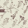 Medical herbs seamless pattern. Hand drawn vector.