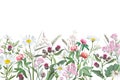 Colorful hand drawn sketch of flowers and grass. Horizontal seamless pattern with plants on a light background. Royalty Free Stock Photo