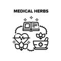 Medical Herbs Vector Black Illustrations Royalty Free Stock Photo