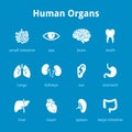 Medical human organs icon set Royalty Free Stock Photo