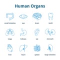 Medical human organs icon set Royalty Free Stock Photo