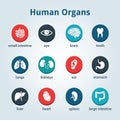 Medical human organs icon set