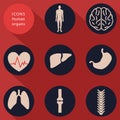 Medical icons, human bodies, flat design, vector Royalty Free Stock Photo