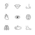 Medical icons thin line art set. Human organs