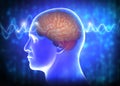 Medical illustration of Human Brain waves Royalty Free Stock Photo