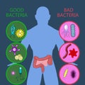 Medical infographic. Intestinal flora gut health vector Royalty Free Stock Photo