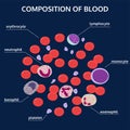 Medical infographics of composition of blood on a blue background