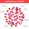 Medical infographics of composition of blood in white background.