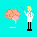 Medical internal organ anatomy surgery brain health care with doctor,stethoscope in cyan background