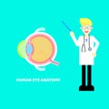 Medical internal organs body part nervous system anatomy surgery eyeballs health care with doctor,stethoscope in cyan background