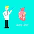 Medical internal organs body part nervous system anatomy surgery human heart and stethoscope healthcare