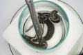The medical leech close up Royalty Free Stock Photo