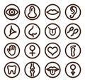 Medical line icon set for web and mobile