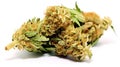 Medical marijuana flower bud. Close up cannabis flower on white backdrop. Generative AI