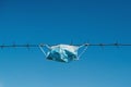 Medical mask on barbed wire, on blue sky background. World coronavirus outbreak. Coronavirus quarantine Royalty Free Stock Photo