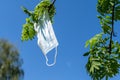 Medical mask in a park on a flowering apple tree. Seasonal Allergy. End of the epidemic, Coronavirus COVID 19. Spring time