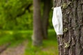 Medical mask on tree,viral epidemic and harm to nature, ecological problem