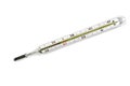 Medical mercury thermometer isolated