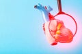 Medical mock-up of a heart under a magnifying glass on a blue background. Heart disease concept, inflammation of the