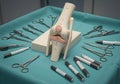 Medical knee joint model and instruments Royalty Free Stock Photo