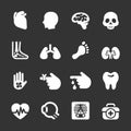 Medical and organ icon set