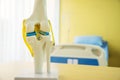 knee joint anatomy model for medical teaching before they are used to describe the patient Royalty Free Stock Photo