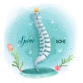 Medical orthopedic watercolor background. Treatment for orthopedics traumatology of whole spine bones and joints injury.