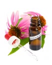 Medical plants: Coneflower Echinacea purpurea vials with tincture Royalty Free Stock Photo