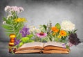 Medical plants with old books and glas bottle Royalty Free Stock Photo