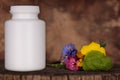 Plastic container for medicinal pills, supplements on natural background. Fresh flowers, herbs. Herbal preparation mockup Royalty Free Stock Photo