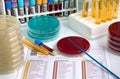 Medical report and biological samples on the workbench in the an Royalty Free Stock Photo