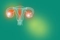 Handrawn illustration of human Uterus on light green background.