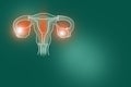 Handrawn illustration of human Uterus on deep green background.