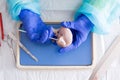 Medical student dissecting a sheep kidney