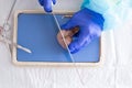 Medical student slicing a sheep kidney in class Royalty Free Stock Photo