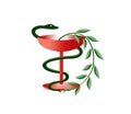 Medical symbol is snake and bowl